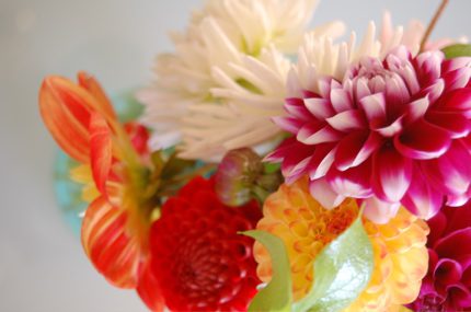 fresh flowers 2.jpg fresh flowers 2.jpg